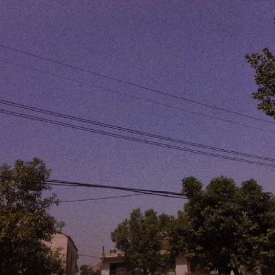 大发彩票app手机app下载