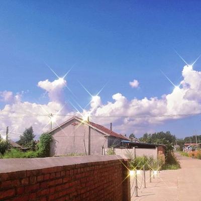 9博体育app下载官网